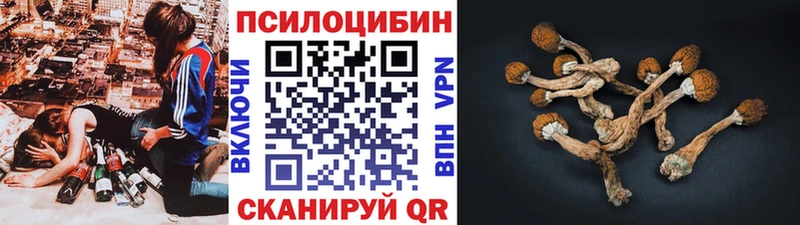 Псилоцибиновые грибы Psilocybe  хочу   Краснокамск 