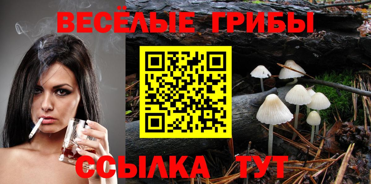Галлюциногенные грибы мухоморы Краснокамск