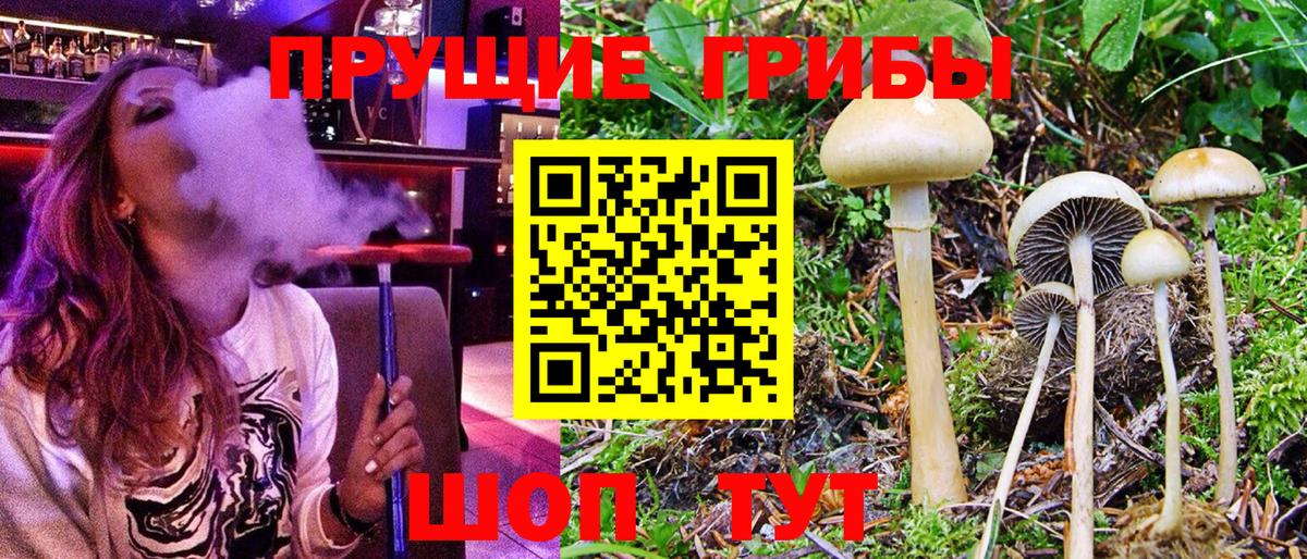 Псилоцибиновые грибы Psilocybine cubensis  Вход с VPN  Галлюциногенные грибы GOLDEN TEACHER  Краснокамск 